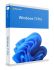 Microsoft Windows 11 Pro FPP 64-bit English USB Flash Drive - Retail
